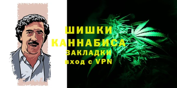 молекула духа Алзамай