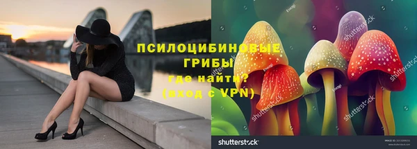 спайс Абаза