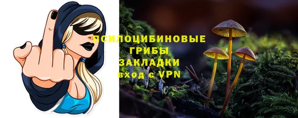 спайс Абаза