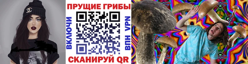 Галлюциногенные грибы MAGIC MUSHROOMS  Лабытнанги 