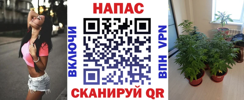 Каннабис ГИДРОПОН Лабытнанги